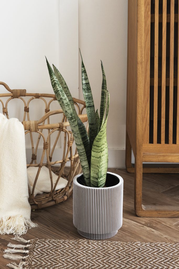 Elementos naturales e interiorismo - Freepik